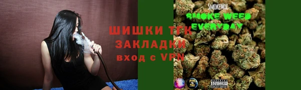 гашик Надым