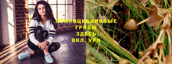 прущий лед Нефтекумск