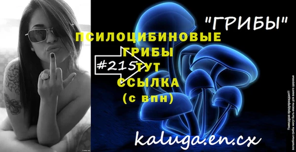 гашик Надым