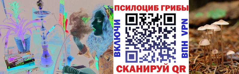 Галлюциногенные грибы MAGIC MUSHROOMS  где найти   Ленинградская 